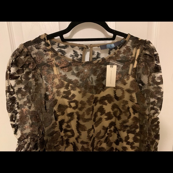New with tags! Eva Franco/Anthropologie Sheer Leopard Top (size small) - Picture 2 of 5